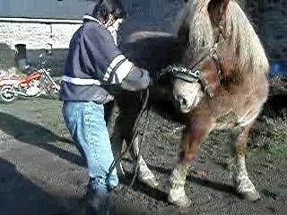 Cindy au travail à pied avec Réjane