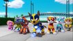Paw Patrol Mission Paw - Mighty Pups Rescue Team Rubble, Skye Training Day - Nickelodeon Kids Games
