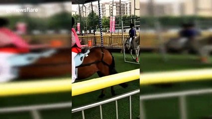 Chinese merry-go-round with real horses kicks up controversy