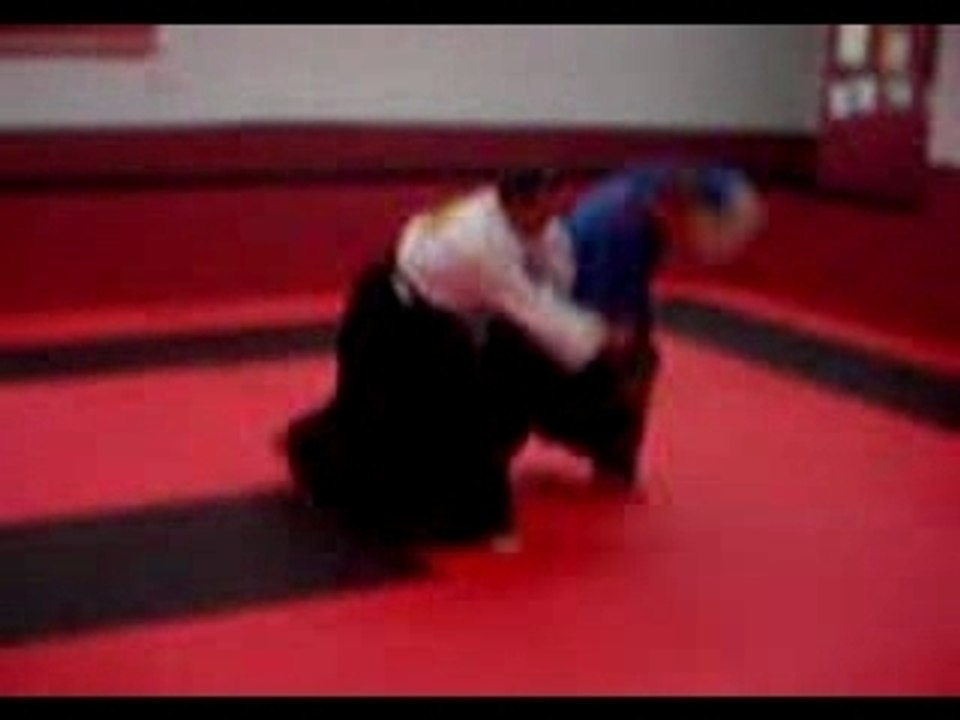 Aikido Real Aikido - Realni Aikido - Vladimir Djordjevic