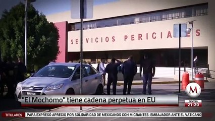 La dinastía de los Beltrán Leyva