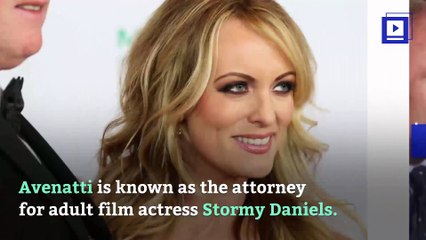 Michael Avenatti Is Hit With a Domestic Violence Restraining Order