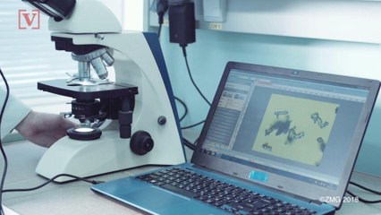 MRI Scan May Predict Which People Will Develop Alzheimer's Disease