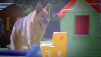 Rex, chien flic S12E09 FRENCH