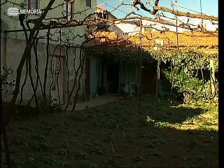 Horizontes da Memória, III #4, O autocarro roubado (Cinfães do Douro), 1997