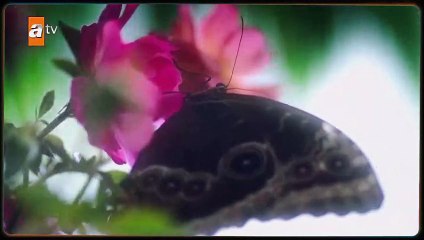 Şahin Tepesi Tanıtım Filmleri