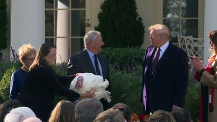 Donald Trump gracie la dinde de Thanksgiving à la Maison Blanche