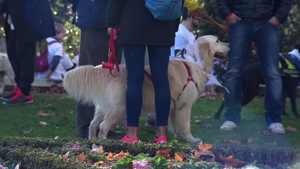 Nuria Roca y su perrita Pepita abanderan el reto del sobrepeso en mascotas