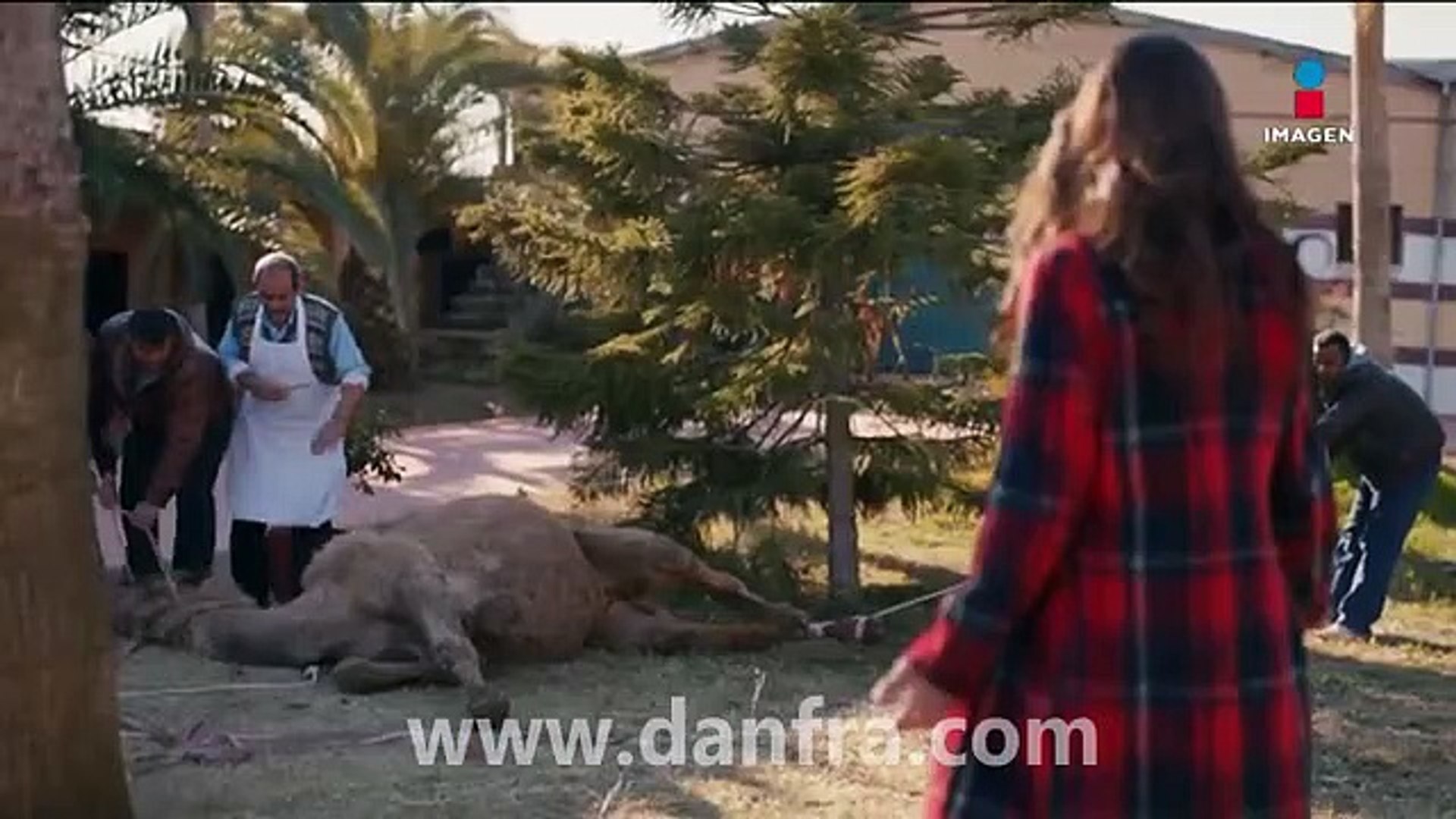Se Vende Una Novia Capitulo 1 Completo