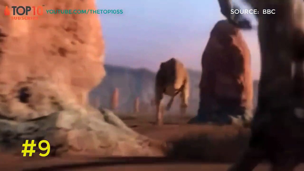 Dangerous Carnivorous Dinosaurs Attack T-Rex, Troodon, Spinosaurus, Allosaurus VS...