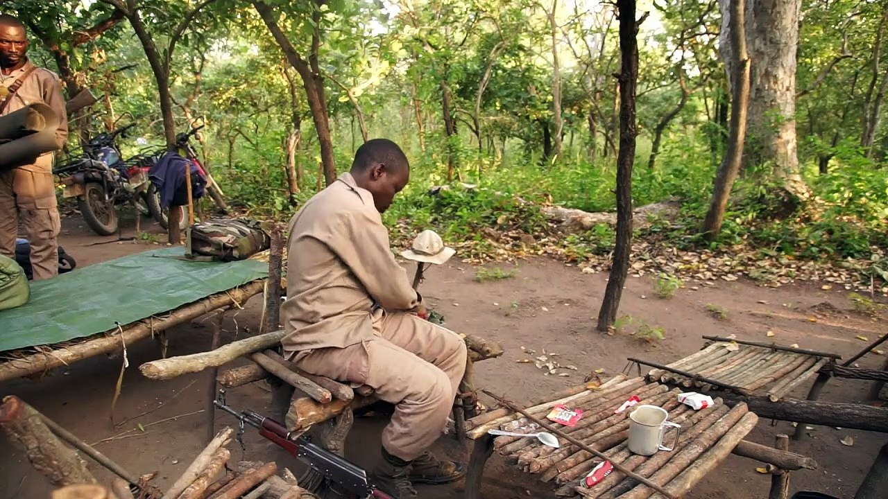 C.Africa's forest rangers in the rebel firing line