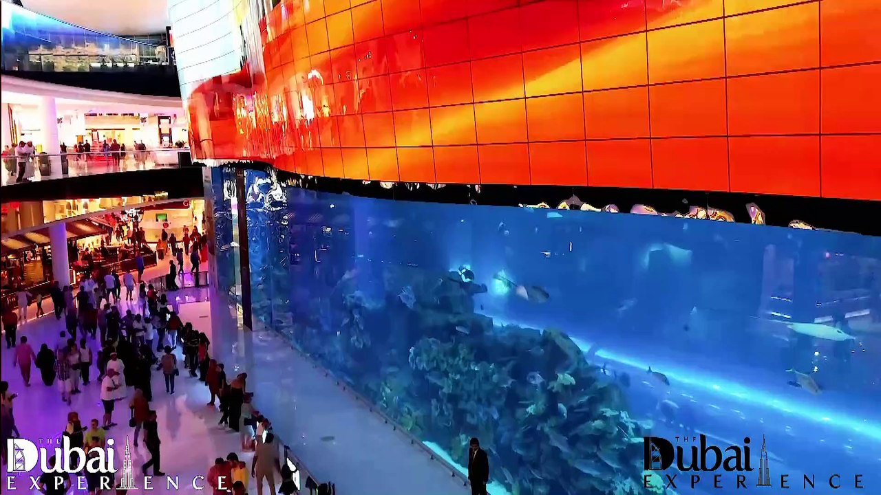 THE DUBAI EXPERIENCE 2018 RECAP VIDEO