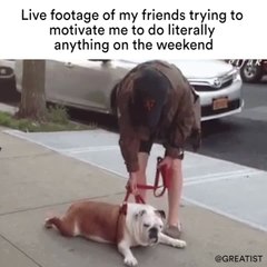 Live footage of my friends trying to motivate me to do literally anything on the weekend