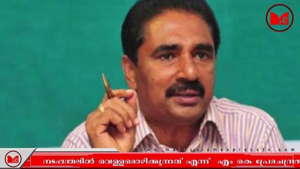 Sabarimala | നിരന്തരം നടപ്പന്തൽ വെള്ളം ഒഴിച്ചു കഴുകുന്നതിൽ  ദുരൂഹതയുണ്ടെന്നും പ്രേമചന്ദ്രൻ പറഞ്ഞു