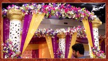 Sare Tujhyachsathi | Kartik - Shruti Wedding Sequence | Harshad & Gautami