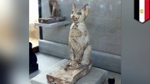 エジプトで猫のミイラが数十体発見される - トモニュース