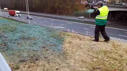 Le talus de l’autoroute à Bierges «repeint» avec des plantes sauvages