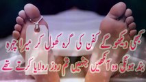 2014 Funny Shayari Urdu And Poetry Videos Video Dailymotion