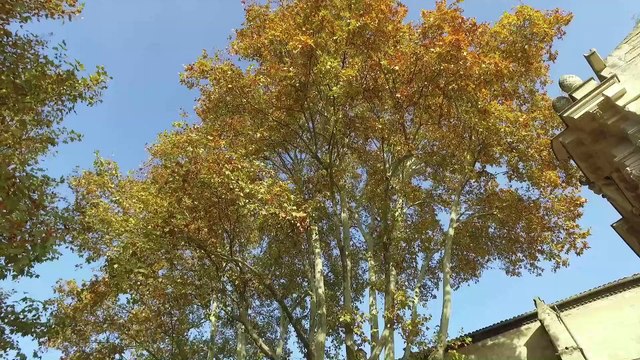 Mon Vaucluse À Moi - La place des Corps Saints à Avignon