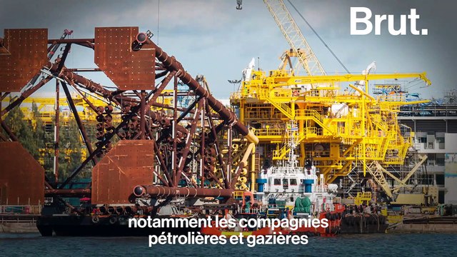 Une nouvelle forme de colonisation menace l'océan