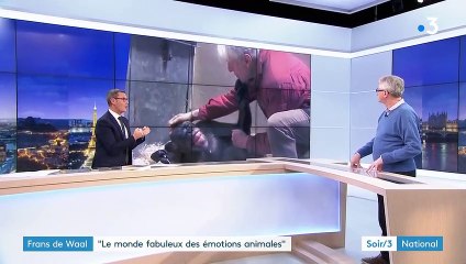 "La dernière étreinte" ou le monde fabuleux des émotions animales