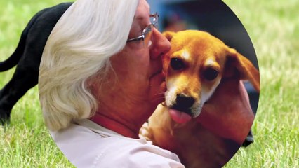 16 tips útiles para que puedas entender mejor a tu peludo