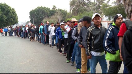 Tijuana: Migrant caravan swells as US judge blocks Trump's order
