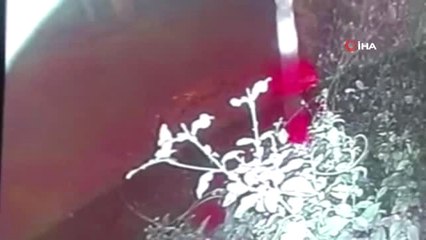 Kadıköy'deki Bıçaklı Dehşete 165 Yıl Hapis İstemi