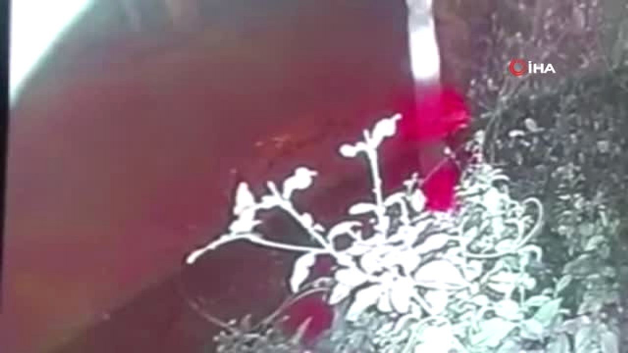 Kadıköy'deki Bıçaklı Dehşete 165 Yıl Hapis İstemi