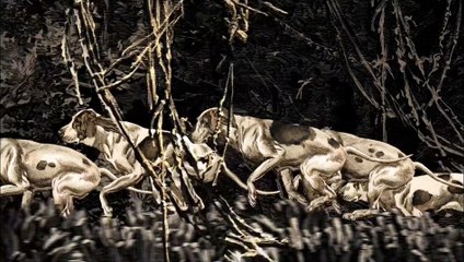 I Was Crying Out Against Life, or for Life / Je criais contre la vie, ou pour elle (2009) - Trailer (International)