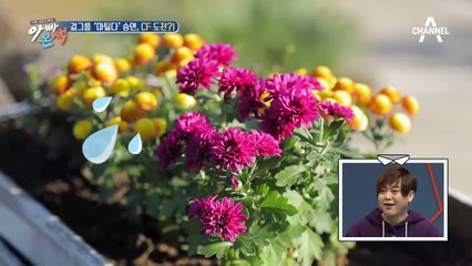 주부9단 포스 박학기, 이번엔 다리미 CF 모델 도전?!