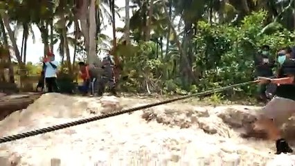 Baleia morta tinha 6kg de plástico no estômago