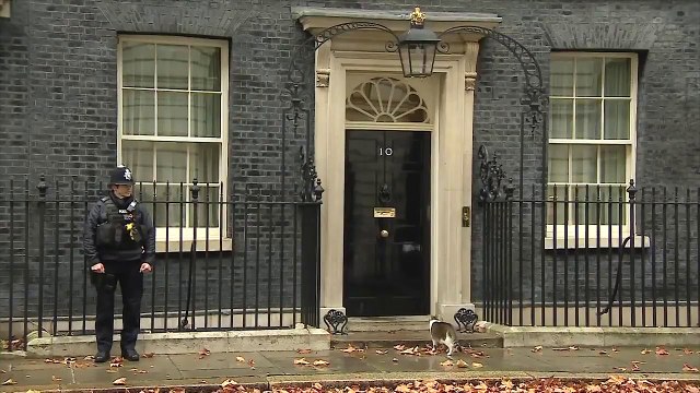 Londra'da Başbakanlık konutunun ünlü kedisi Larry kapıda kaldı
