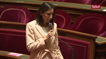 « Appelez-moi, Madame la ministre » : échange tendu entre Brune Poirson et Gérard Longuet