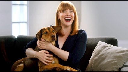 Bryce Dallas Howard Is Voice Acting For A Dog That Was A Rescue