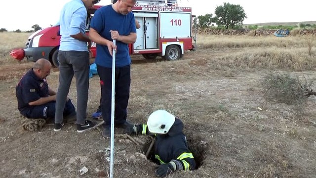 Kuyuya düşen kedi itfaiye ekipleri tarafından kurtarıldı