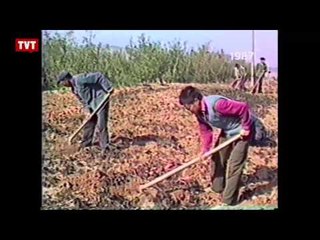 Memória TVT - De olho na China: A criação da fábrica do mundo - 1987