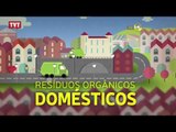 Prefeitura de SP lança campanha para transformar lixo orgânico em adubo para hortas domésticas