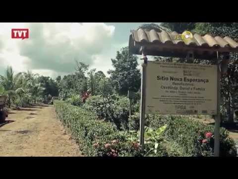 Pra Você Ver: Defensores dos Direitos Humanos - 3/3