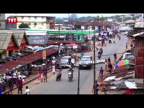 Celso Marcondes: países precisam unir forças para conter o ebola