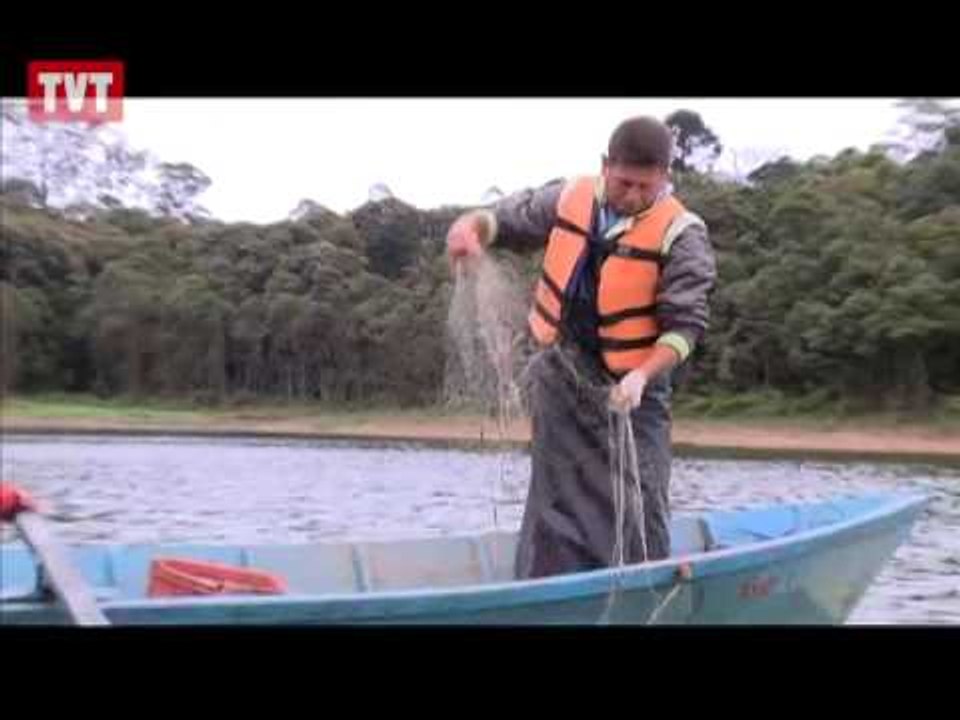 ABCD em Revista: Pescadores