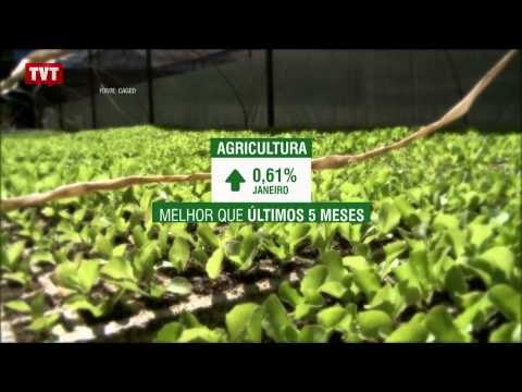 CAGED: 1 milhão e 600 mil trabalhadores contratados em janeiro