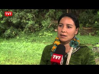 Terras indígenas no Pico do Jaraguá são alvo de disputa judicial