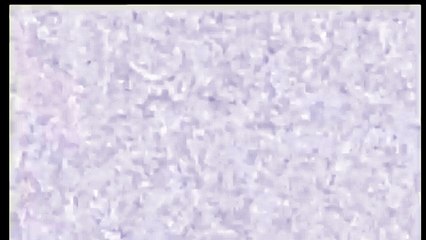 Klasky Csupo in Earthquake (Arkin's Effect 212)