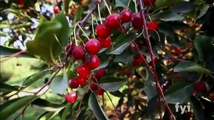 Food Factory S01 E14