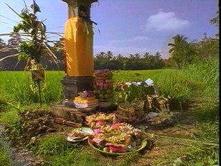 Lifesense 4of6 Life and Soul