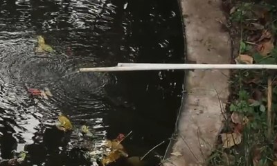 Menikmati Keasrian Alam di Hutan Kota Babakan Siliwangi