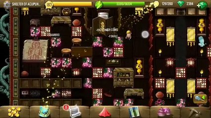 Shelter of Acupuncture - #9 Dragon of Earth - Diggy's Adventure