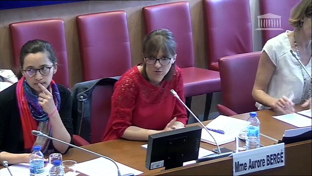 Régulation de la communication audiovisuelle à l’ère numérique : Auditions diverses (suite) - Jeudi 5 juillet 2018