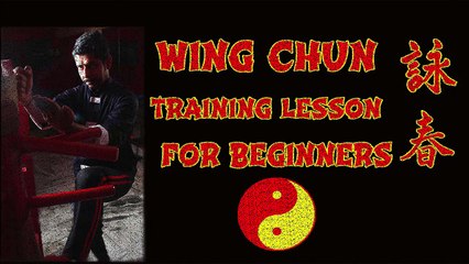 Wing Chun for beginners lesson #15: basic hand blocking exercise tan sao in [Hindi - हिन्दी]